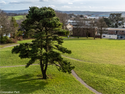 dji_0479