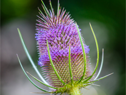 _j5a3157-edit-edit-edit