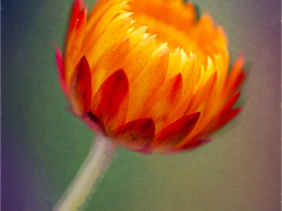 _mg_3236-edit