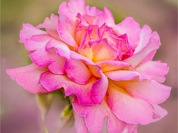 _mg_6632-edit