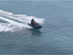 video1